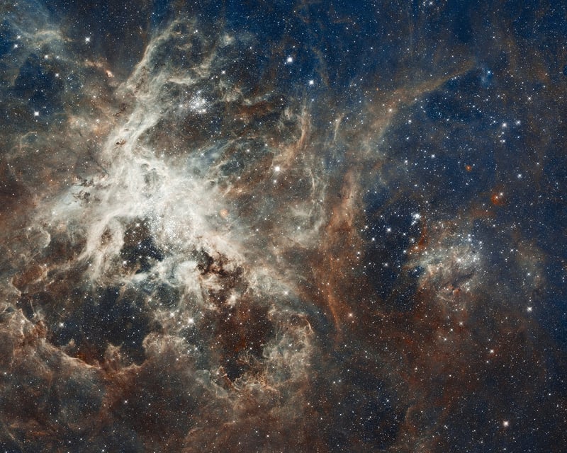 Temporal Loops Image